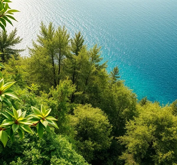 Vieil arbre = meilleur stock carbone : cultiver vos haies patrimoniales
